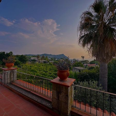Hotel Il Vitigno Di Dioniso Forio di Ischia Exterior foto