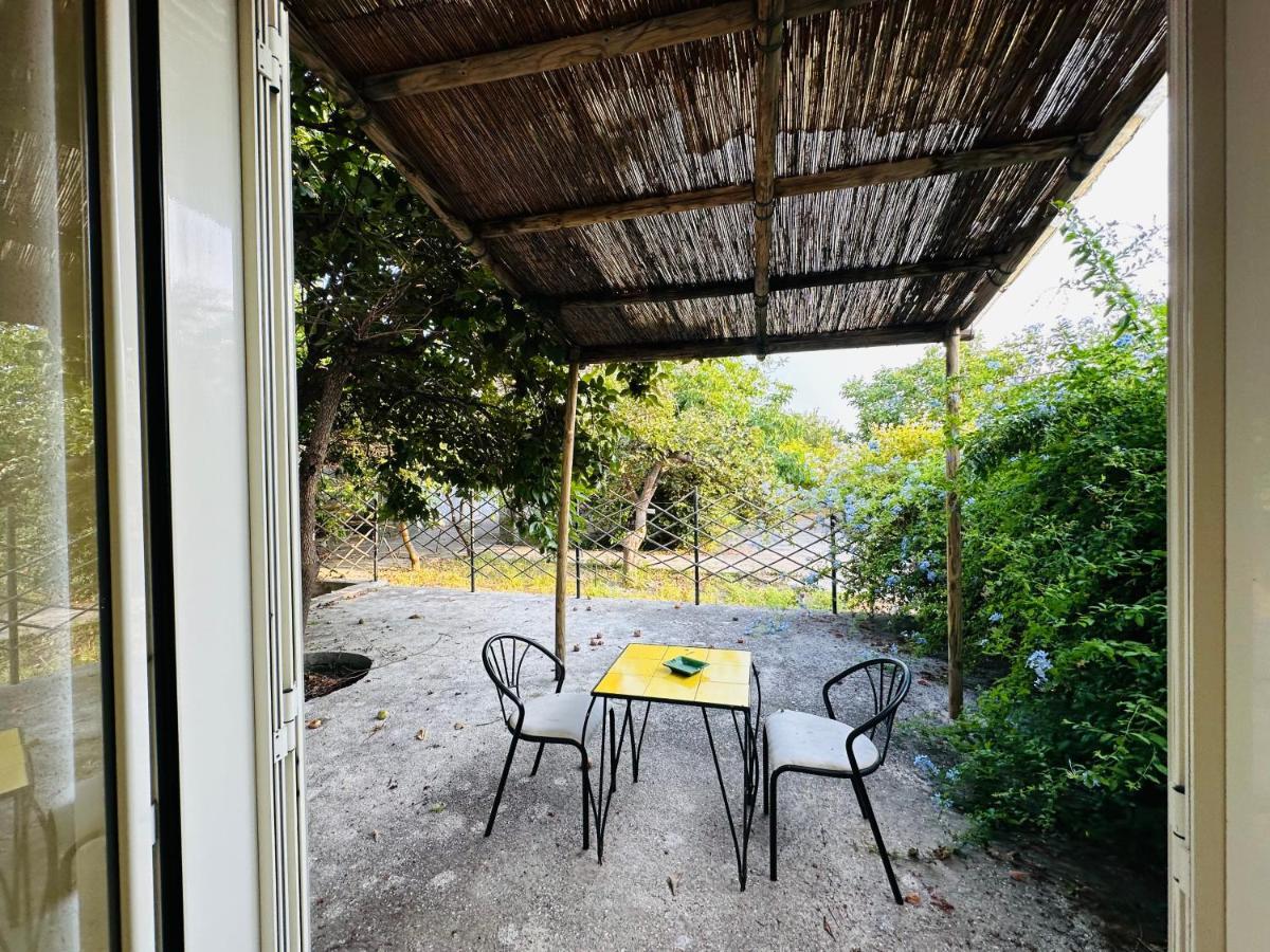 Hotel Il Vitigno Di Dioniso Forio di Ischia Exterior foto