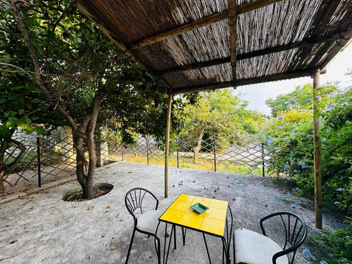 Hotel Il Vitigno Di Dioniso Forio di Ischia Exterior foto