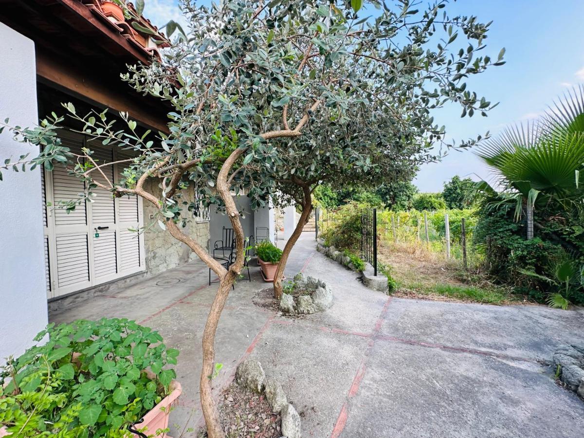 Hotel Il Vitigno Di Dioniso Forio di Ischia Exterior foto