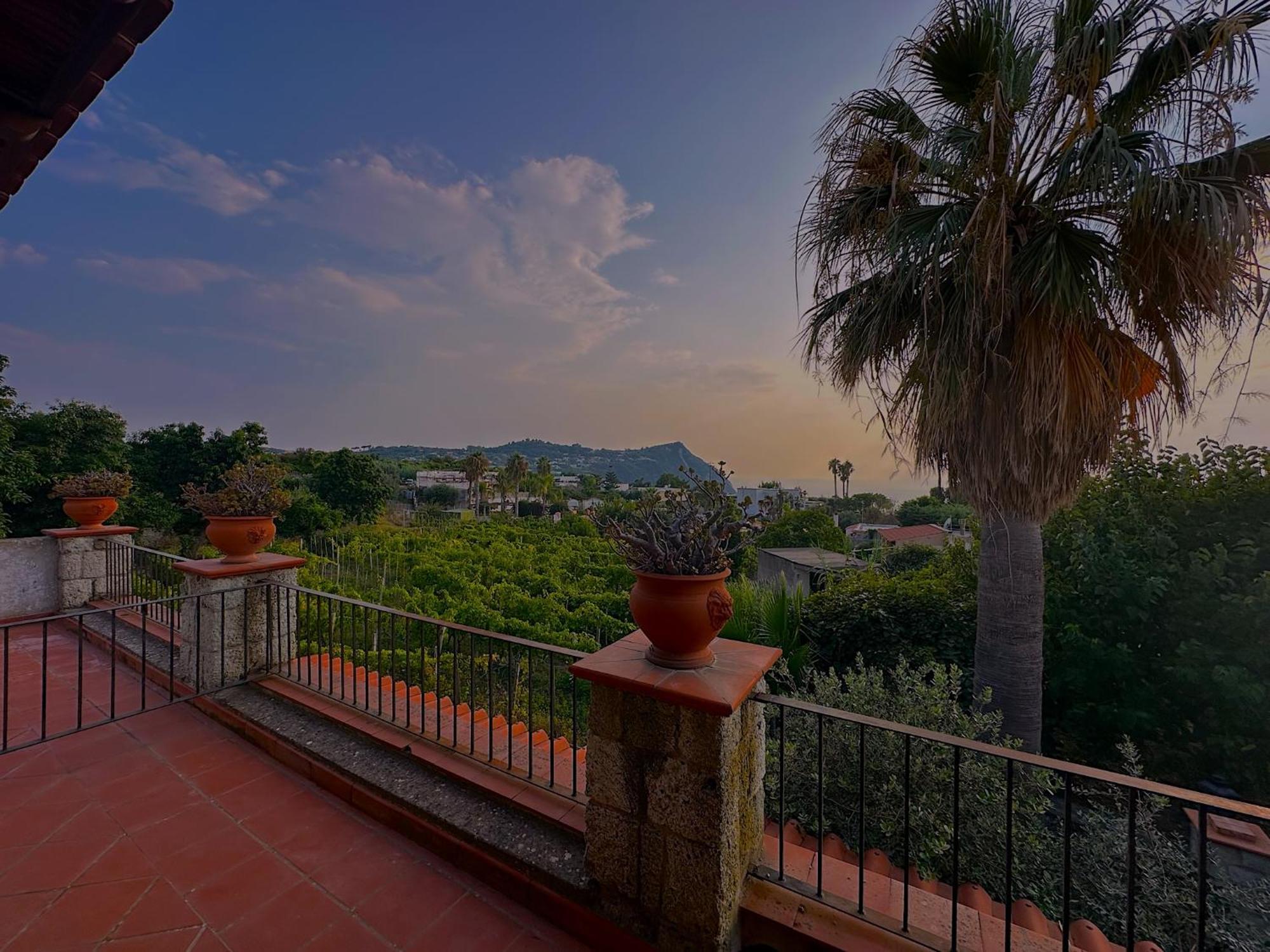 Hotel Il Vitigno Di Dioniso Forio di Ischia Exterior foto
